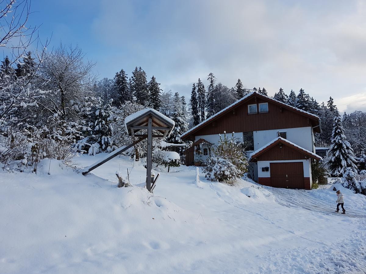 Ferienwohnung Dersch Mauth Exteriér fotografie
